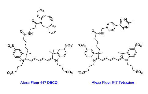 AF 647-Click probes